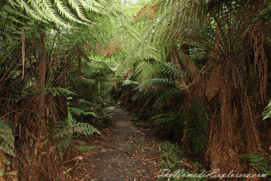 Australia, Victoria, Yarra Valley &amp; Dandenong Ranges, Warburton Hidden Treasures: La La Falls and Ada Tree , , 