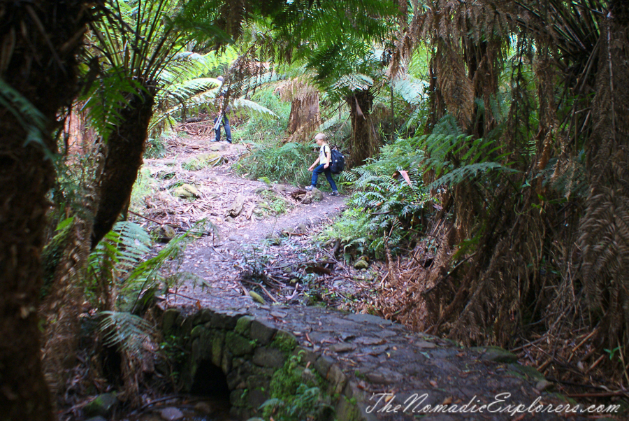 Australia, Victoria, Yarra Valley &amp; Dandenong Ranges, Warburton Hidden Treasures: La La Falls and Ada Tree , , 