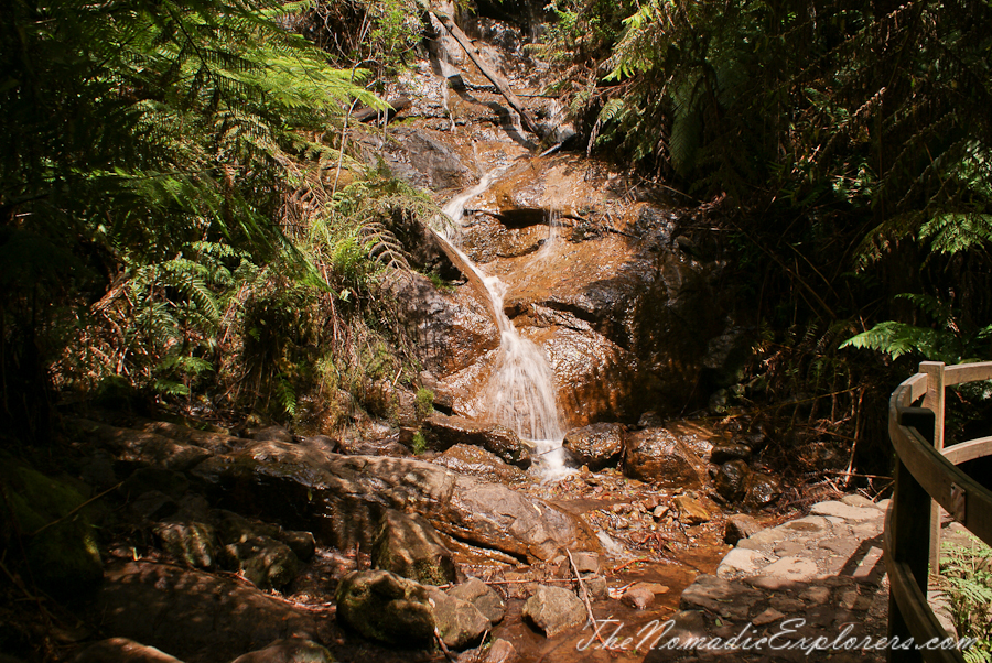 Australia, Victoria, Yarra Valley &amp; Dandenong Ranges, Warburton Hidden Treasures: La La Falls and Ada Tree , , 