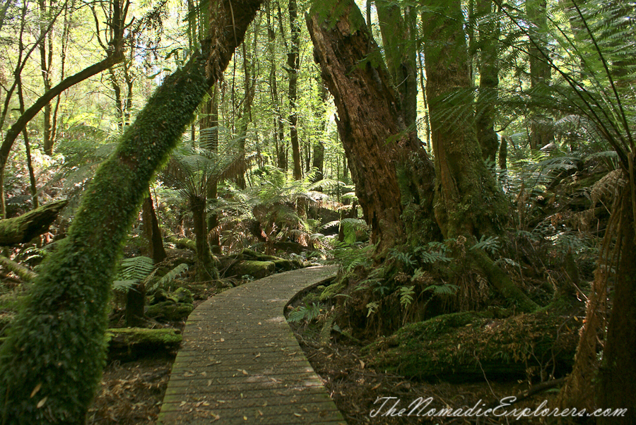 Australia, Victoria, Yarra Valley &amp; Dandenong Ranges, Warburton Hidden Treasures: La La Falls and Ada Tree , , 