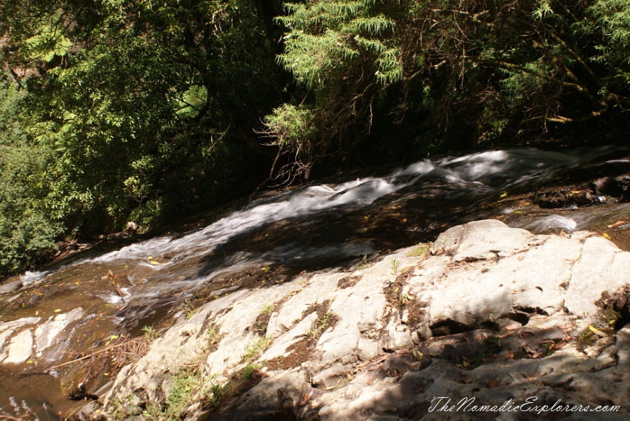 Australia, Victoria, Gippsland, A hidden gem of Gippsland -  Tarra Bulga National Park, , 