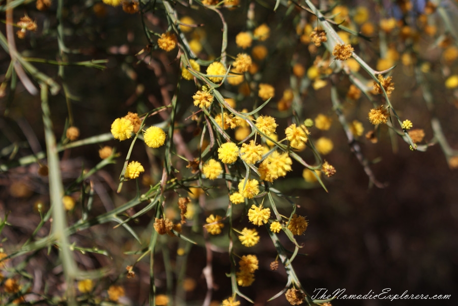 Australia, Western Australia, Golden Outback, WA Trip. Day 2. Hyden, Wave Rock, , 