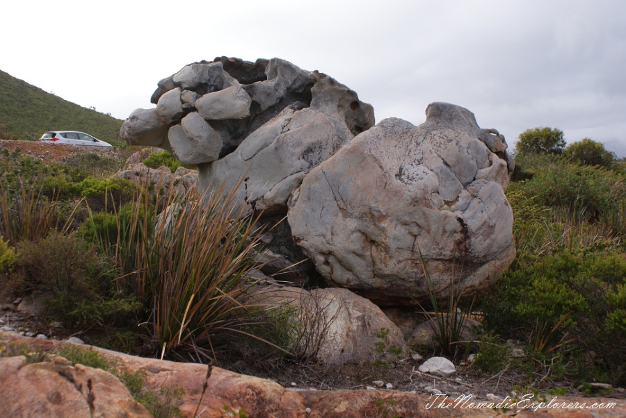 Australia, Western Australia, South West, Western Australia Trip. Day 4. Wildflowers in Fitzgerald River National Park, , 