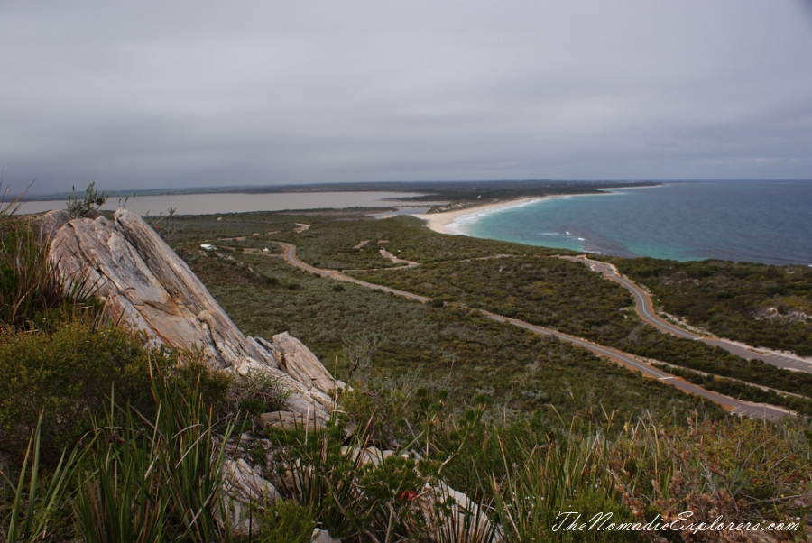 Australia, Western Australia, South West, Western Australia Trip. Day 4. Wildflowers in Fitzgerald River National Park, , 