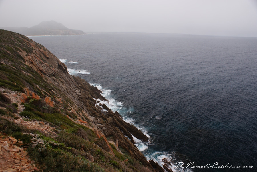 Australia, Western Australia, South West, Western Australia Trip. Day 4. Wildflowers in Fitzgerald River National Park, , 