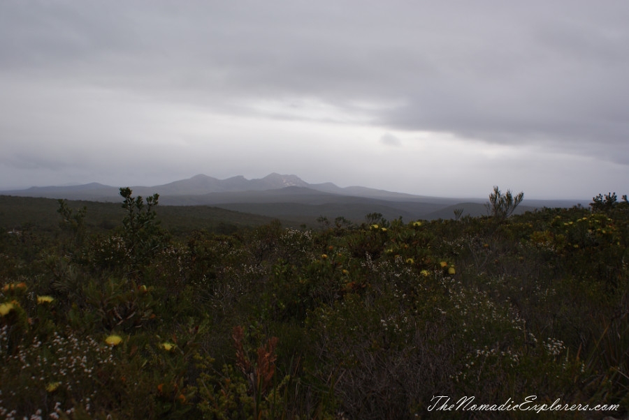 Australia, Western Australia, South West, Western Australia Trip. Day 4. Wildflowers in Fitzgerald River National Park, , 