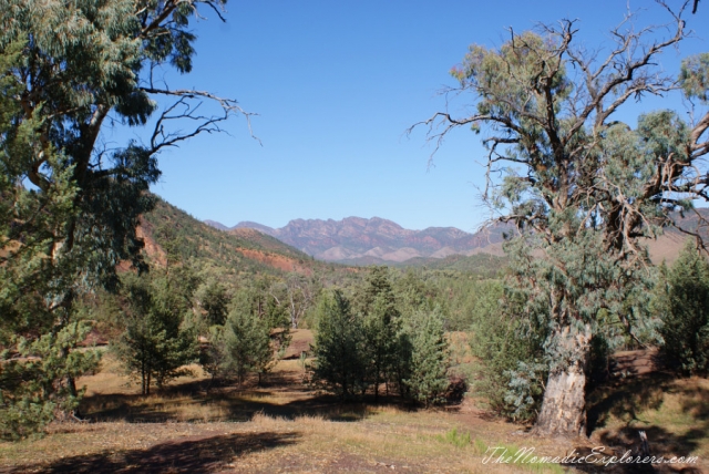 Australia, South Australia, Flinders Ranges and Outback, Two days in Flinders Ranges National Park, , 