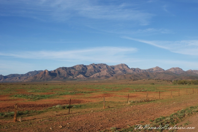 Australia, South Australia, Flinders Ranges and Outback, Two days in Flinders Ranges National Park, , 