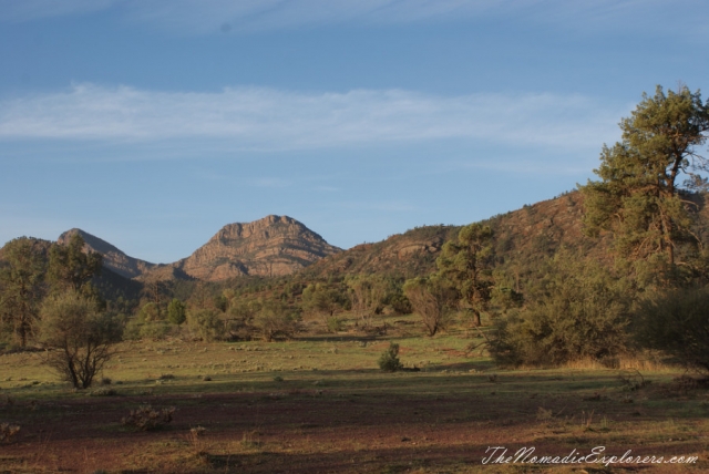 Australia, South Australia, Flinders Ranges and Outback, Two days in Flinders Ranges National Park, , 