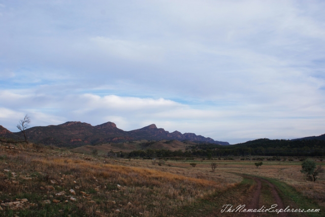 Australia, South Australia, Flinders Ranges and Outback, Two days in Flinders Ranges National Park, , 