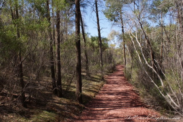 Australia, South Australia, Flinders Ranges and Outback, Two days in Flinders Ranges National Park, , 