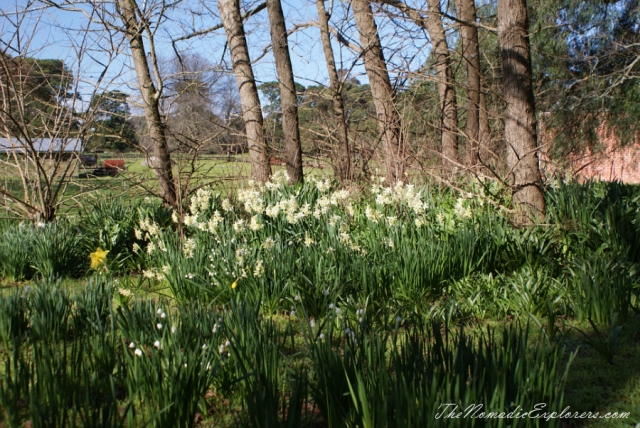 Australia, Victoria, Mornington Peninsula, Birdwatching at Coolart Wetlands and Homestead Reserve, , 