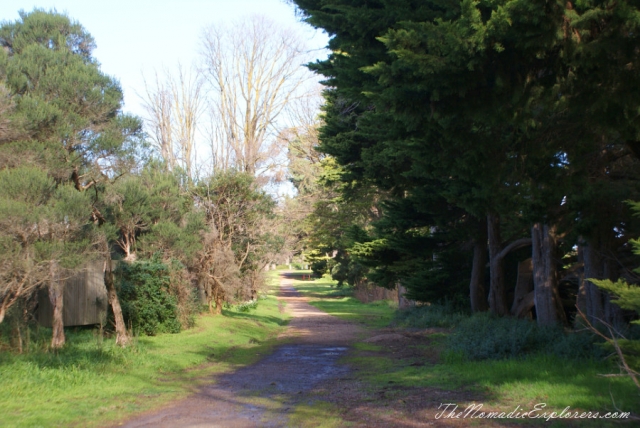 Australia, Victoria, Mornington Peninsula, Birdwatching at Coolart Wetlands and Homestead Reserve, , 