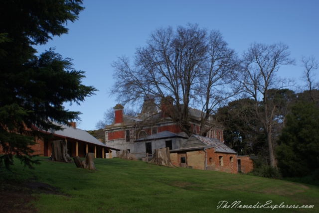 Australia, Victoria, Mornington Peninsula, Birdwatching at Coolart Wetlands and Homestead Reserve, , 