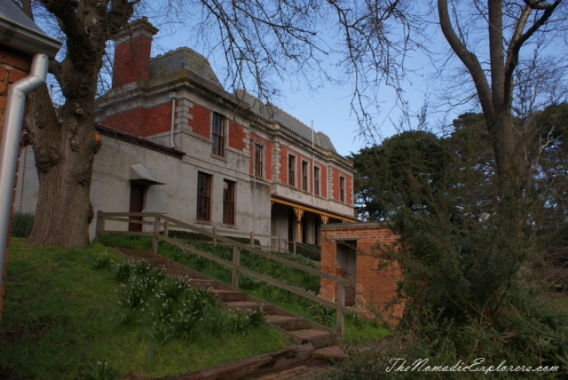 Australia, Victoria, Mornington Peninsula, Birdwatching at Coolart Wetlands and Homestead Reserve, , 