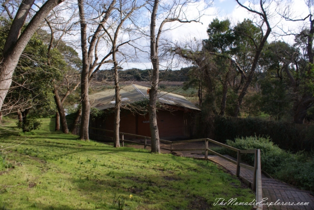 Australia, Victoria, Mornington Peninsula, Birdwatching at Coolart Wetlands and Homestead Reserve, , 