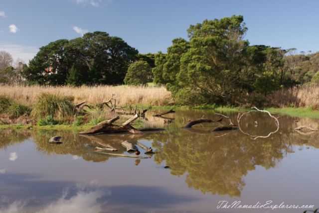 Australia, Victoria, Mornington Peninsula, Birdwatching at Coolart Wetlands and Homestead Reserve, , 