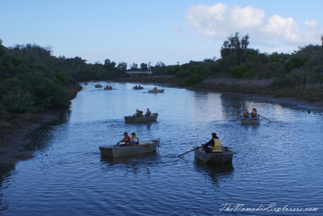 Australia, Victoria, Mornington Peninsula, Birdwatching at Coolart Wetlands and Homestead Reserve, , 