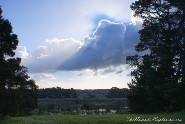 Australia, Victoria, Mornington Peninsula, Birdwatching at Coolart Wetlands and Homestead Reserve, , 