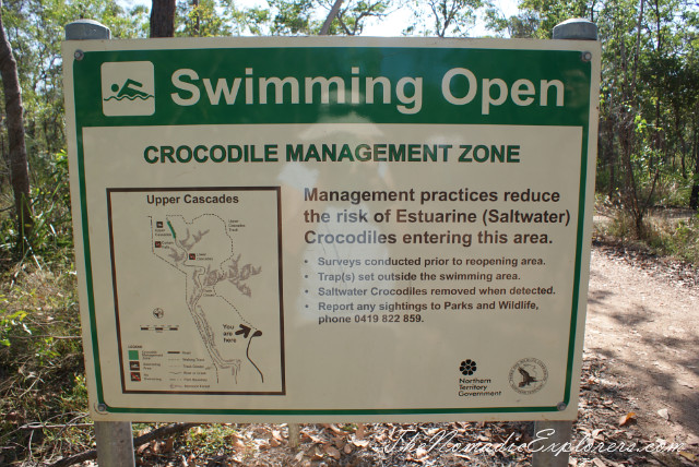 Australia, Northern Territory, Darwin and Surrounds, Litchfield National Park - Lower Cascades Walk, , 