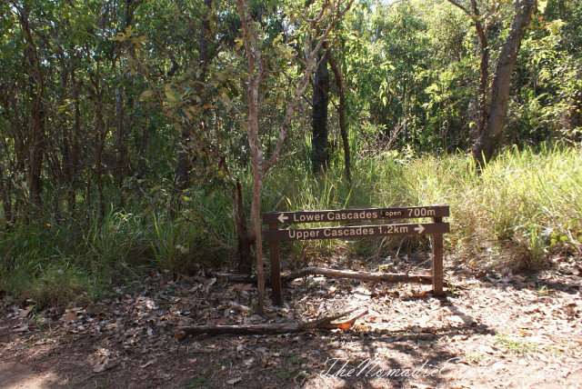 Australia, Northern Territory, Darwin and Surrounds, Litchfield National Park - Lower Cascades Walk, , 