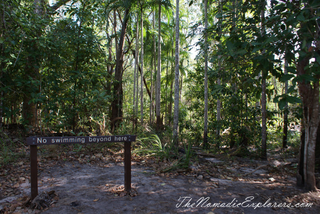 Australia, Northern Territory, Darwin and Surrounds, Litchfield National Park - Lower Cascades Walk, , 