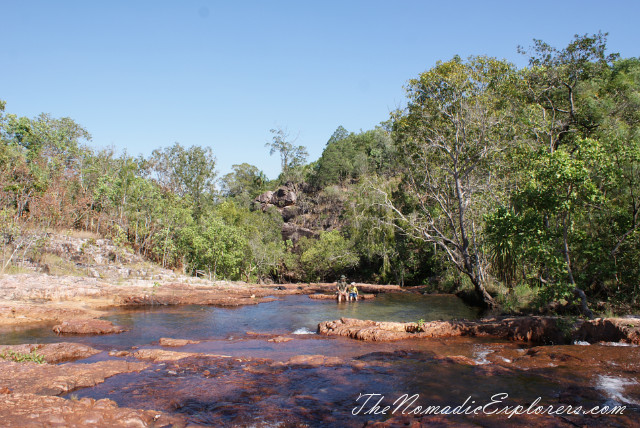 Australia, Northern Territory, Darwin and Surrounds, Litchfield National Park - Lower Cascades Walk, , 