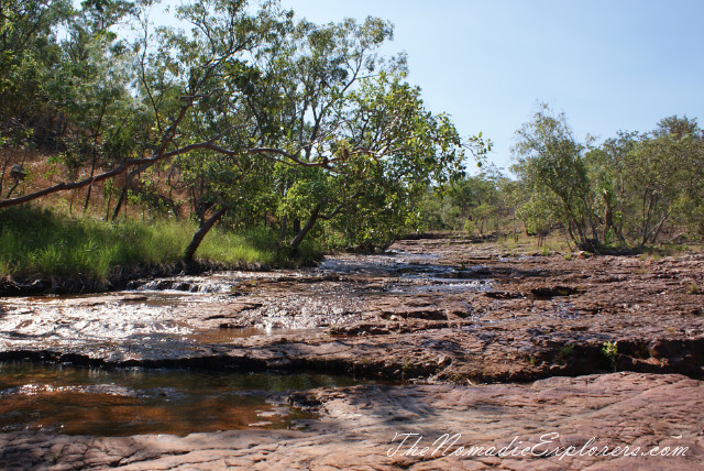 Australia, Northern Territory, Darwin and Surrounds, Litchfield National Park - Lower Cascades Walk, , 