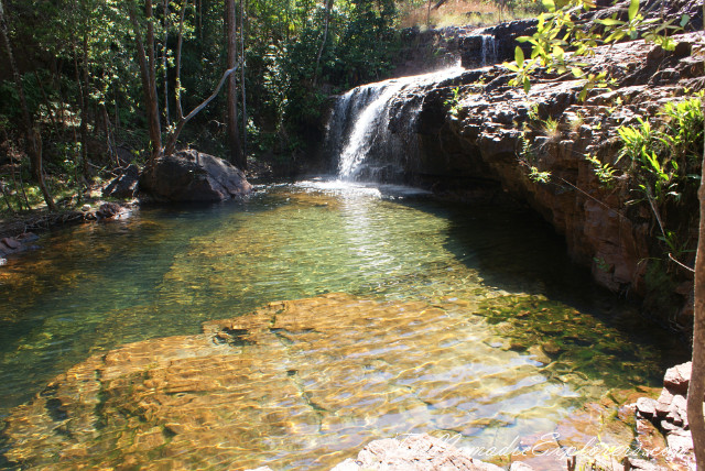 Australia, Northern Territory, Darwin and Surrounds, Litchfield National Park - Lower Cascades Walk, , 