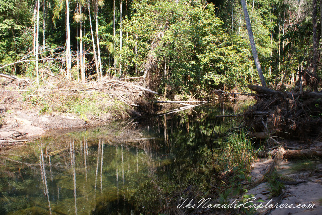 Australia, Northern Territory, Darwin and Surrounds, Litchfield National Park - Lower Cascades Walk, , 