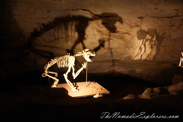 Australia, South Australia, Limestone Coast, Пещеры Naracoorte (Naracoorte Caves National Park), , 