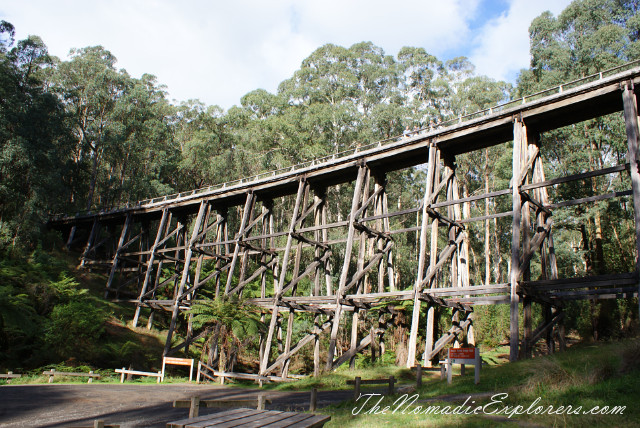 Australia, Victoria, Gippsland,One day in Noojee:  Trestle Bridge Rail Trail, Toorongo Falls via Amphitheatre Falls Loop Track,bridge, waterfall