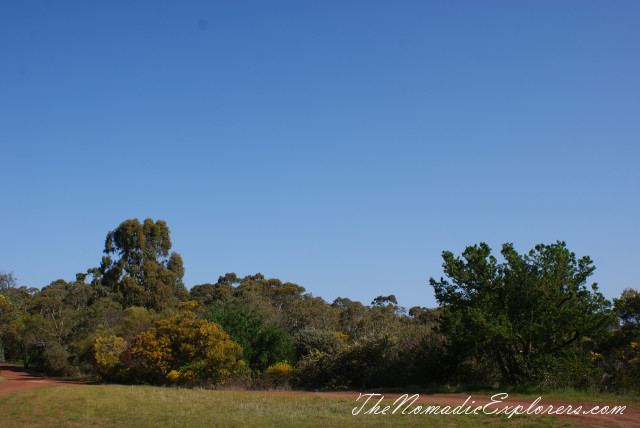 Australia, Victoria, Grampians, Долгий путь домой. Coleraine - Points Reserve Arboretum, , 