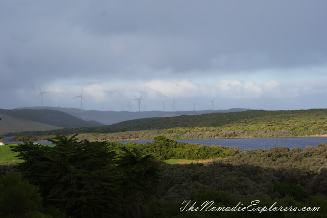 seal tour cape bridgewater