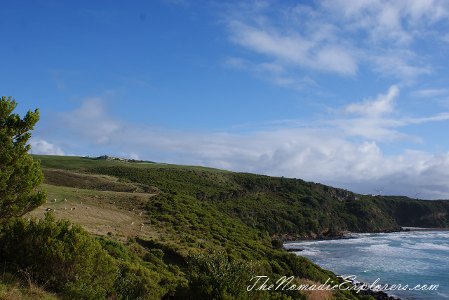 seal tour cape bridgewater