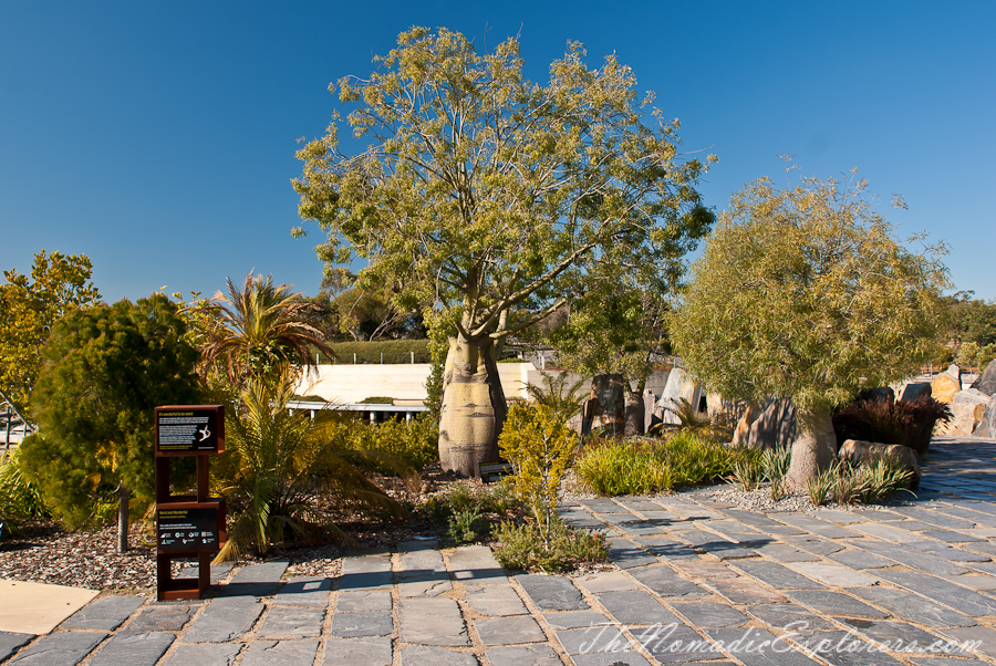 Australia, Victoria, Melbourne, Royal Botanic Gardens Victoria: Cranbourne Gardens, , 