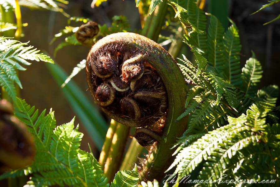 Australia, Victoria, Melbourne, Royal Botanic Gardens Victoria: Cranbourne Gardens, , 